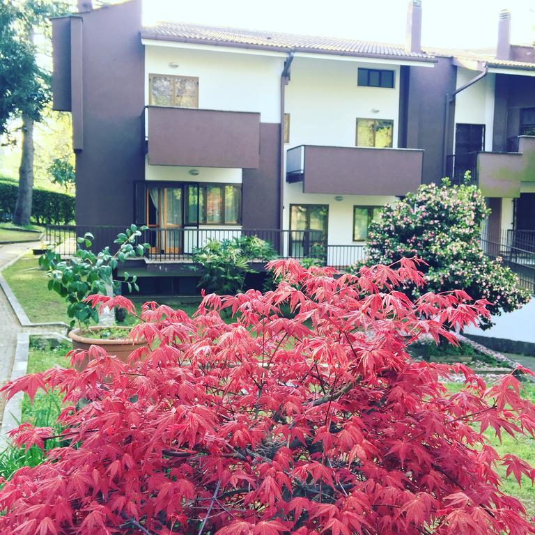 Maison 3G Ariccia Luaran gambar